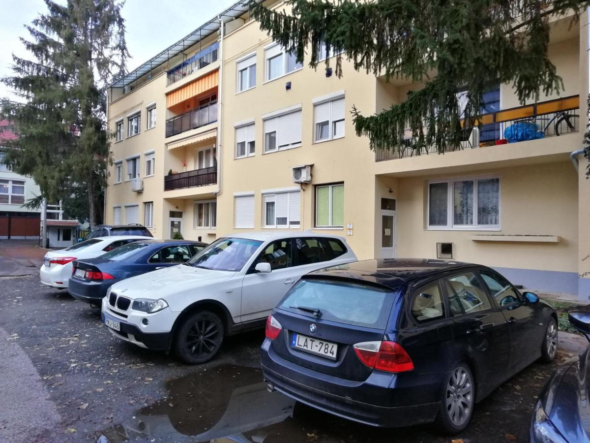Tulip Family Eger